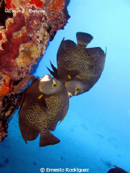 Photos taken at Fredericksted Piers in Saint Croix Canon ... by Ernesto Rodriguez 